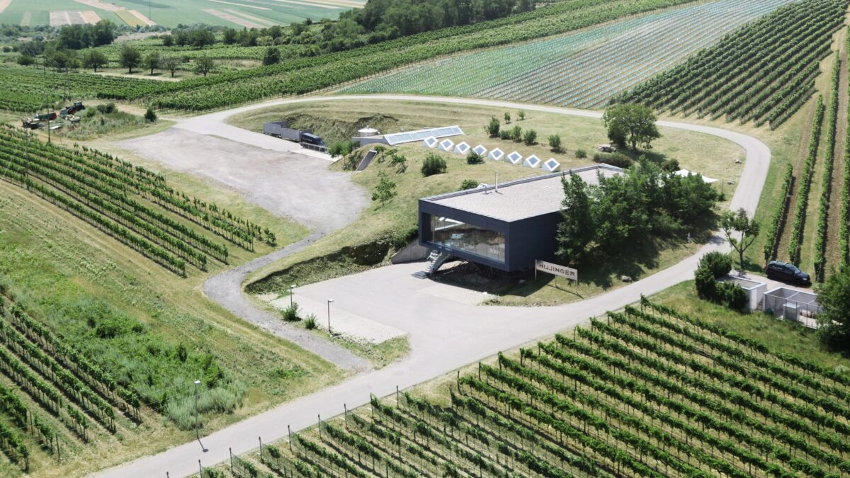 Architektur Und Wein In Jois Im Burgenland sterreich Interview Mit Architektur Und Wein In Jois Im Burgenland sterreich Interview Mit