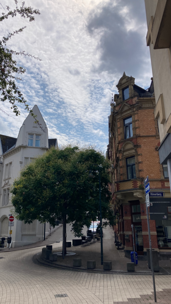 Stadtführung Wiesbaden | Architekturführung - Erlebe Architektur in Wiesbaden bei deiner nächsten Architekturreise – Bild 7