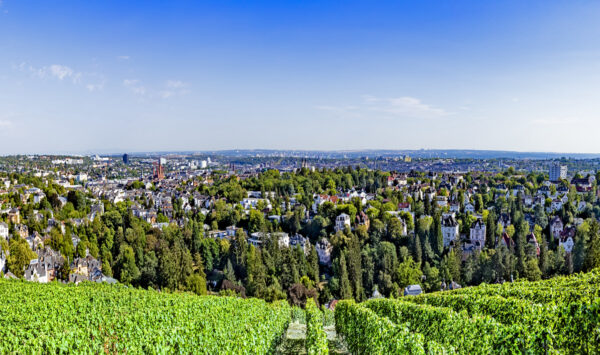 Blick über die Weinberge vom Neroberg auf die Stadt Wiesbaden - virtuelle Stadtführung und Architekturreise
